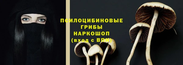 крисы Наволоки