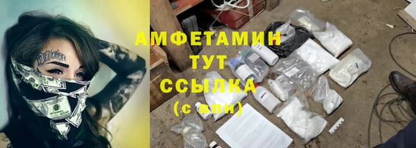 крисы Наволоки